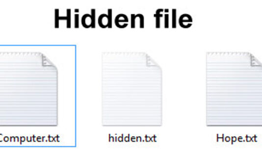 Come Visualizzare file nascosti su windows