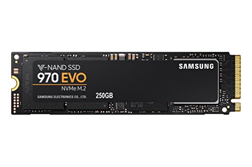 SSD Samsung 970 EVO 250 GB - parte frontale
