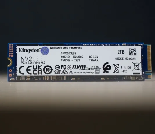 Kingston NV2 - Recensione completa