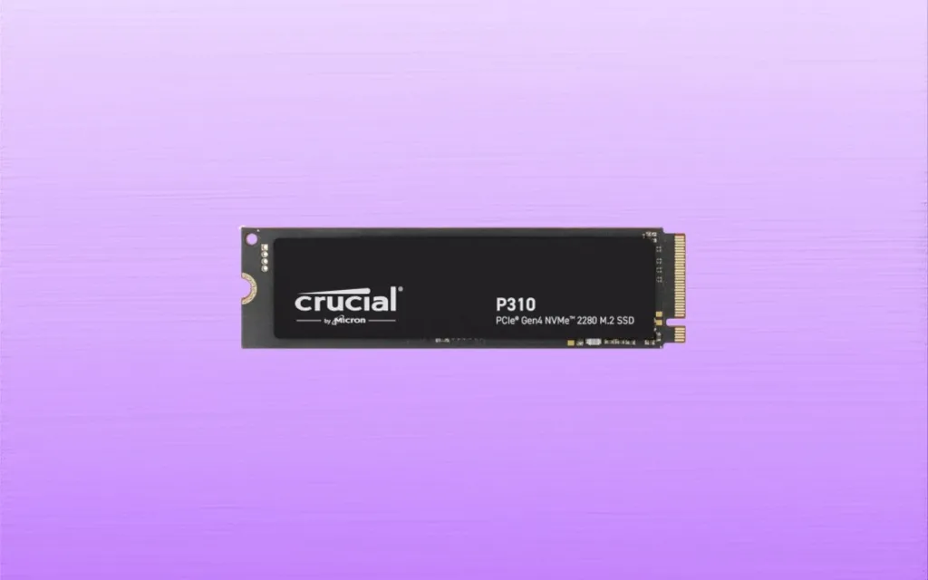 Crucial P310 - Recensione completa