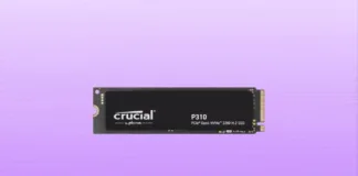 Crucial P310 - Recensione completa