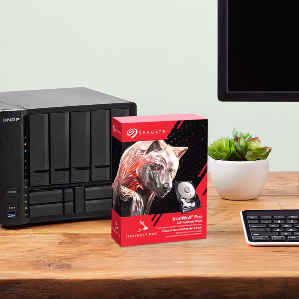 Seagate IronWolf Pro 1